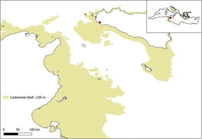 Using Local Ecological Knowledge of Fishers to Reconstruct Abundance Trends of Elasmobranch Populations in the Strait of Sicily
